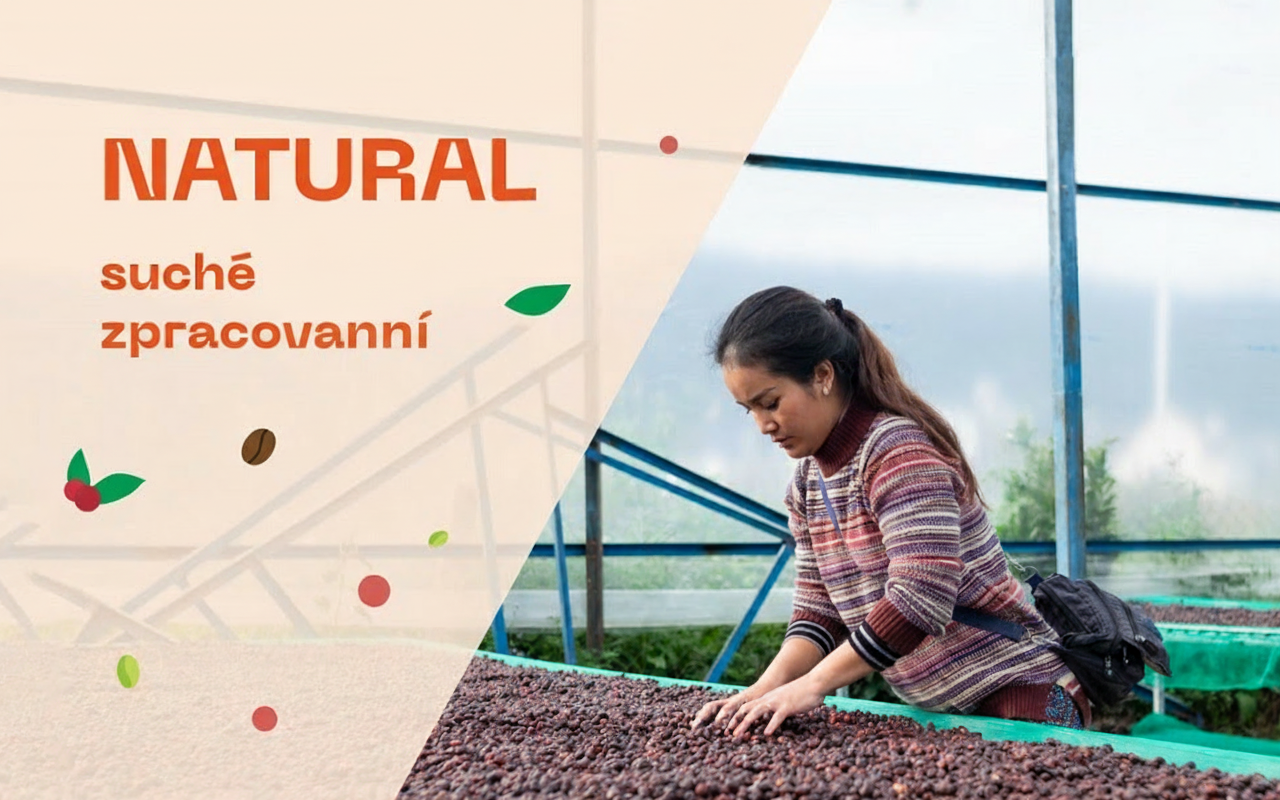 NATURAL – suché zpracování